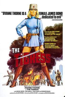 湛江市seo优化怎么做